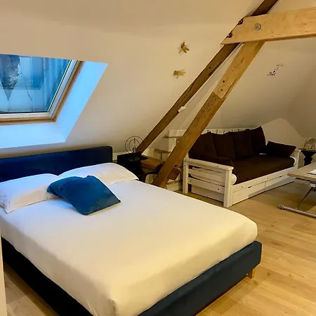 아파트 La Champenoise 트루아