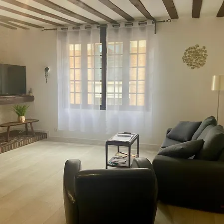 La Champenoise Apartment Troyes