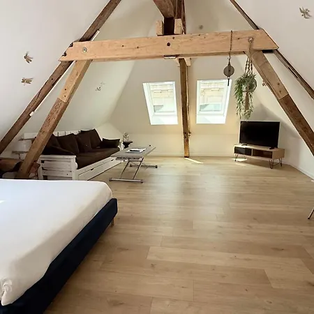 아파트 La Champenoise 트루아