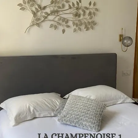 아파트 La Champenoise 트루아