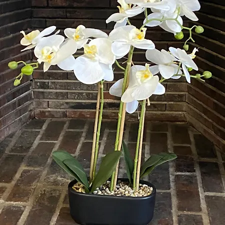 La Champenoise 아파트 트루아