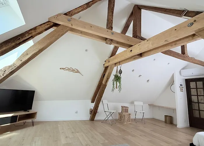 La Champenoise Lejlighed Troyes