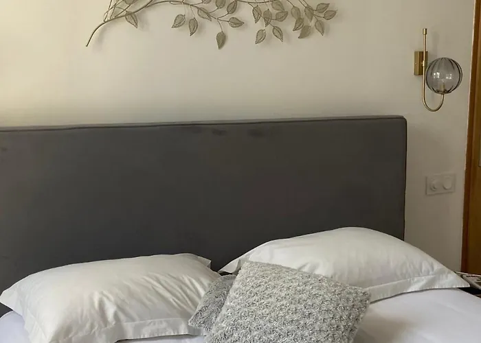 Daire La Champenoise Troyes