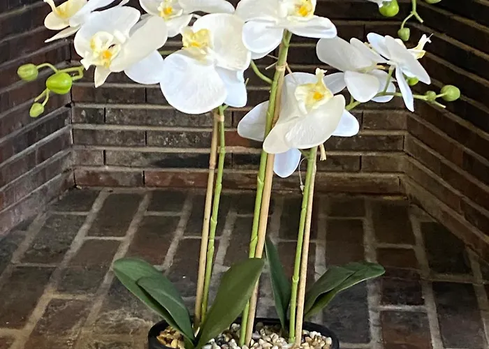 La Champenoise Appartamento Troyes